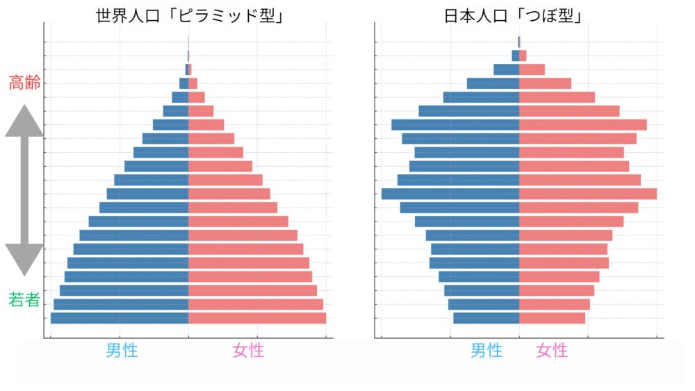 人口グラフ